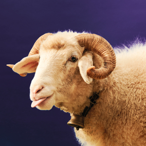 Easy Tue (So Freakin' Easy)