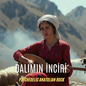 Dalımın İnciri