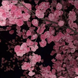 未知约定.wav