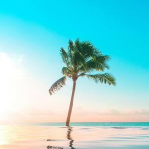 Tropical Life