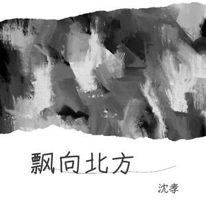 那吾克热-NW-飘向北方（沈孝 remix）