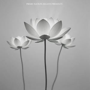 Creative Flow Meditation Unleashed