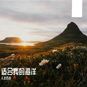 适合我的海洋