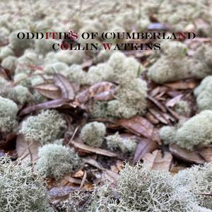 oddity circumstantially a song