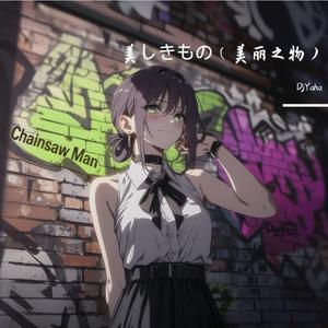 美しきもの（美丽之物）二胡版