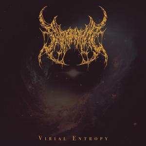 Virial Entropy