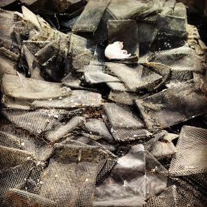 Accross The Milky Way