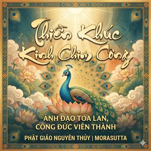 Thiền Khúc KINH CHIM CÔNG