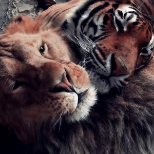 黑神话悟空-DJ BGM