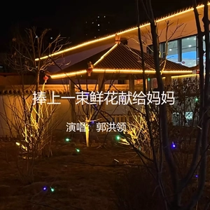 捧上一朵鲜花献给妈妈