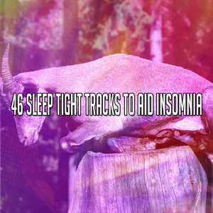 Night To Doze