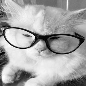 choppa by my side (feat. swampkill)