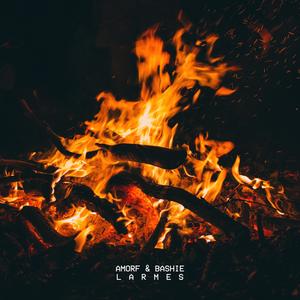 Larmes (feat. Bashie)