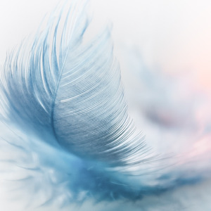 Zeru Put It on da Floor Again