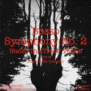 Symphony No. 2  "Under the Trees' Voices":I. Adagio, Under the Tree's Voices (Live)