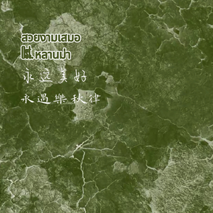 หยงหย่วน(Ost. หลานม่า)永远美好 姥姥的外孙