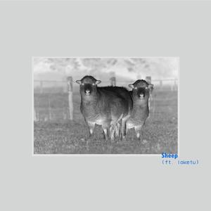 Sheep (feat. loketu) (Remix) (Remix)