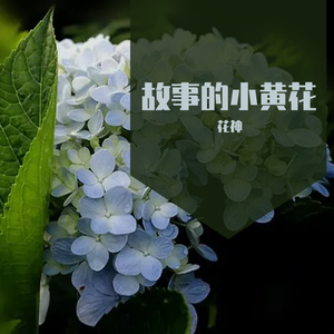 故事的小黄花