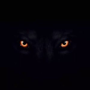 Turn It Up&HIGHWAY（Lazy cat mashup Bootleg）