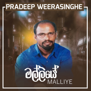 Malliye