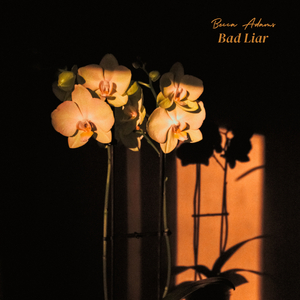 Bad Liar