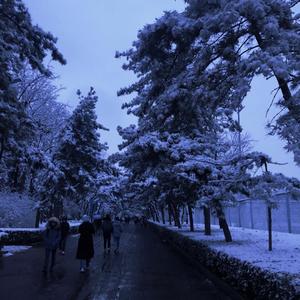 我们不是一路人