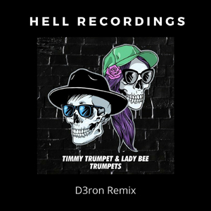 Timmy Trumpet & Lady Bee - Trumpets (Remix)