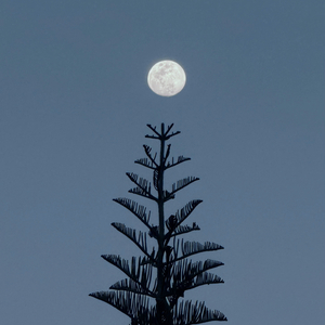 去北极忘记你（释怀版）