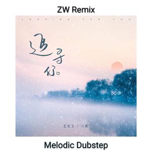 王天戈-追寻你（ZW Remix）