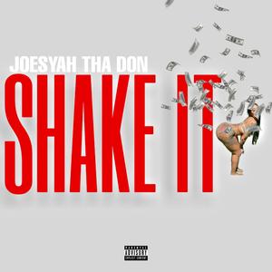 Shake It