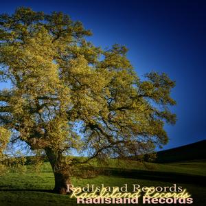 Akena Chelete (feat. Sbeezy, Free-Gun 4sta, Teem Siya & Rapsodiz) (Trappaholic)