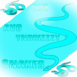 Snakes (feat. Avo)