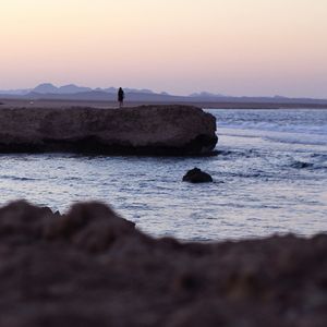 [FREE] "爱情啊" 采样Memphis Type Beat