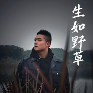 生如野草