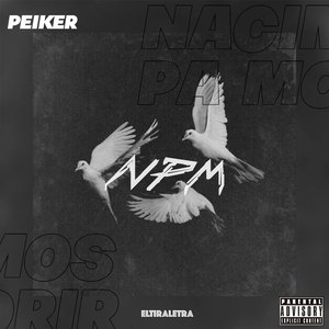 NPM