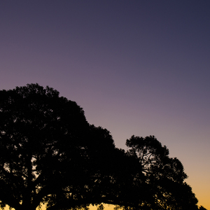 妹家住在山咔咔