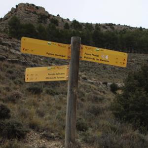 Caminando por las calles