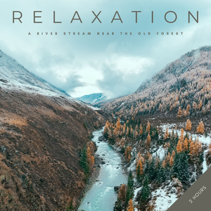 Relaxation: A River Stream Near The Old Forest - 2 Hours