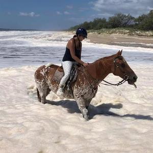 难却（完整版）