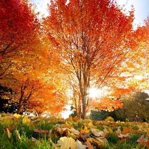 比上不足的爱情