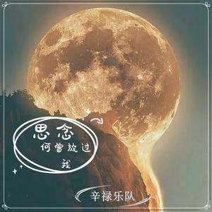 思念何曾放过我  (韩语版)