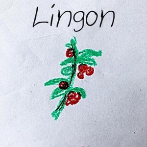 Lingon