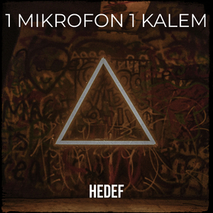 1 Mikrofon 1 Kalem