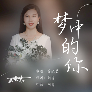 梦中的你