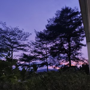 夏夜最后的烟火