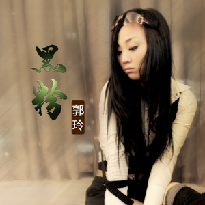 黑粉 (DJ何鹏版伴奏)