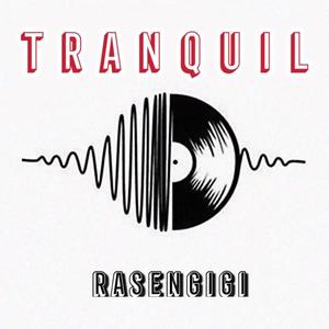 有可能的夜晚（翻自 曾轶可）