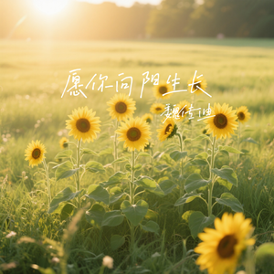 愿你向阳生长