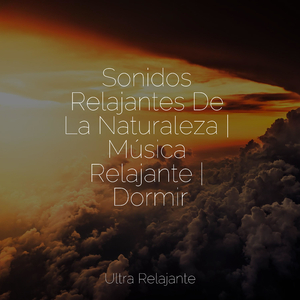 Meditación Consciente