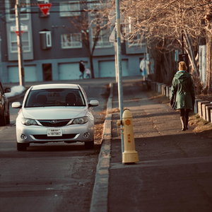 紋章トワイライト